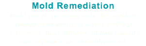 Mold Remediation Mold can thrive using only the smallest amount of humidity or a tiny leak left untreated. In as little as 48 hours mold can go from a spec to widespread.